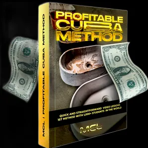 Profitable Sink Method logo