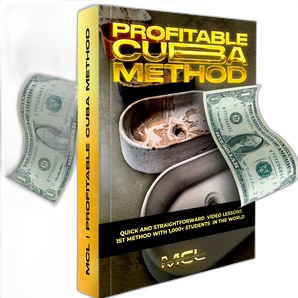 Profitable Sink Method logo