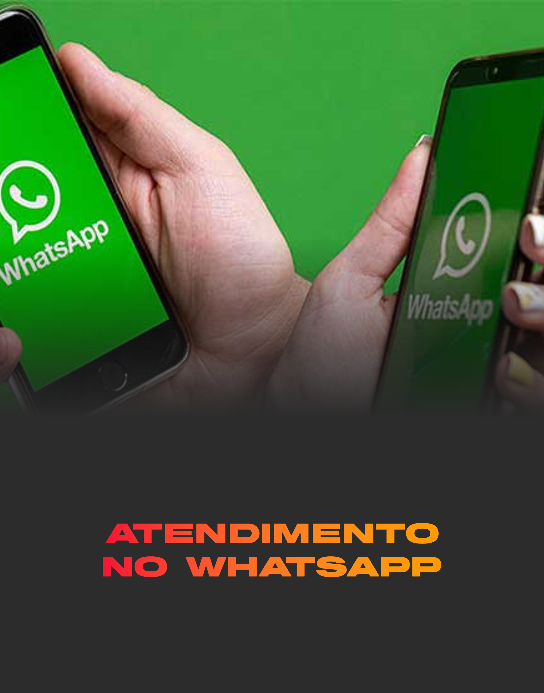 Imagem10