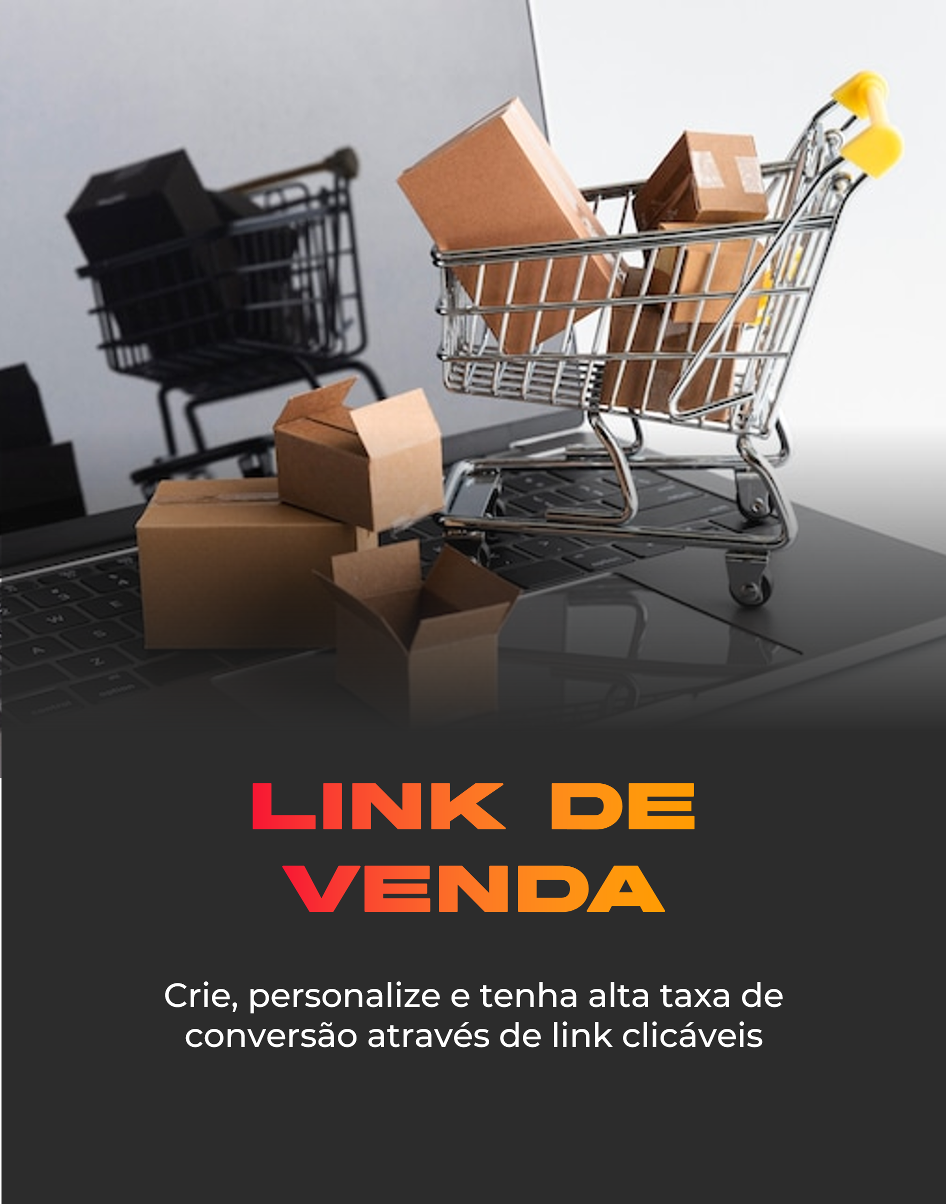Imagem23